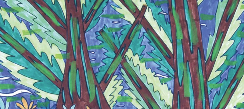 Community Visitors Annual Report 2024-2025